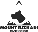 Mount Euzkadi